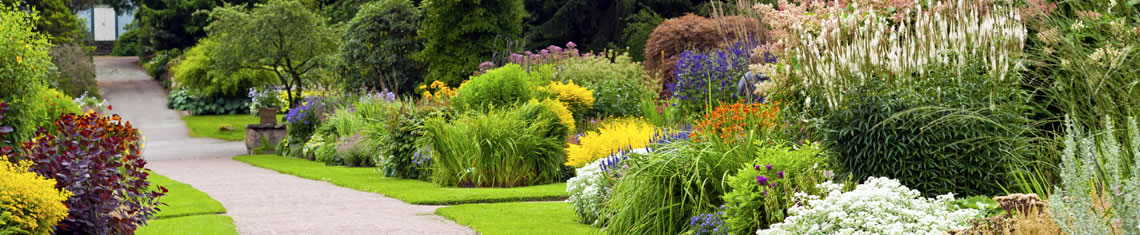 Beautiful garden landscaping