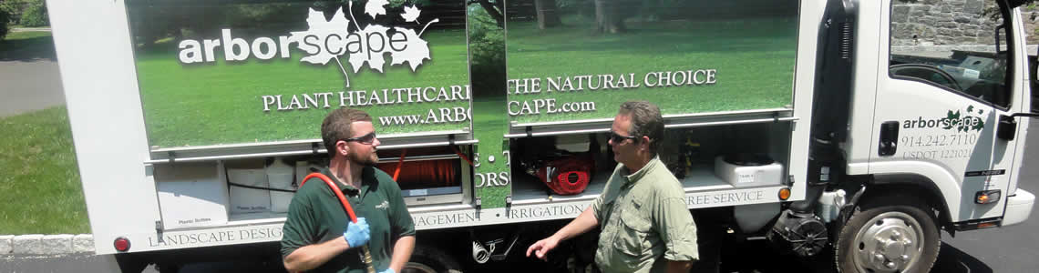 Arborscape technician consulting with client in front of company truck