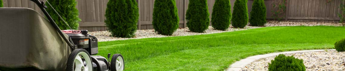 Manicured lawn and plantings